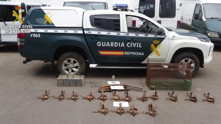 Un investigado y varias denuncias por el uso de venenos en entornos naturales de Ciudad Real