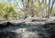 Las hectáreas arrasadas por el fuego crecen un 5,6 % respecto al verano pasado