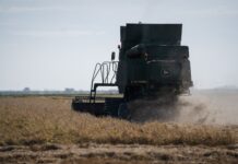 El cereal, eje de las ayudas a jóvenes y de las inversiones en modernización agraria en C-LM