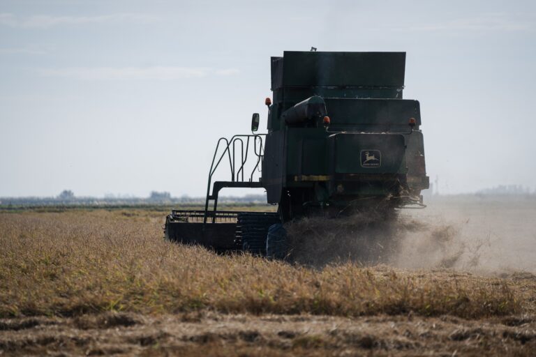 El cereal, eje de las ayudas a jóvenes y de las inversiones en modernización agraria en C-LM