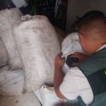 Recuperan casi una tonelada de aceitunas robadas en Mota del Cuervo