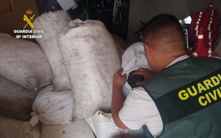 Recuperan casi una tonelada de aceitunas robadas en Mota del Cuervo