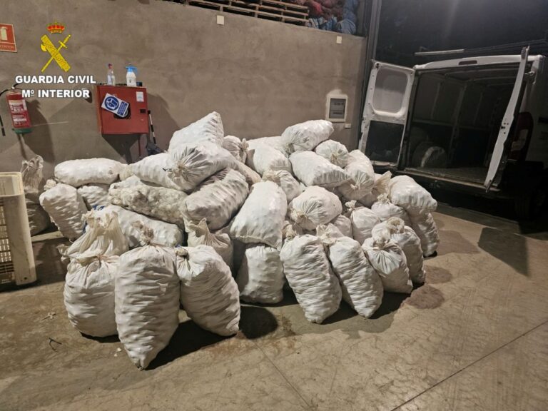 Pillados mientras intentaban vender 3.360 kilos de ajos robados en Las Pedroñeras