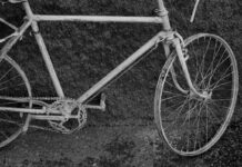 Cuatro artistas castellanomanchegas reivindican lo rural en Peñarrubia y Alcaraz