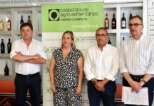 Castilla-La Mancha encara la vendimia con existencias históricamente bajas y optimismo en las previsiones