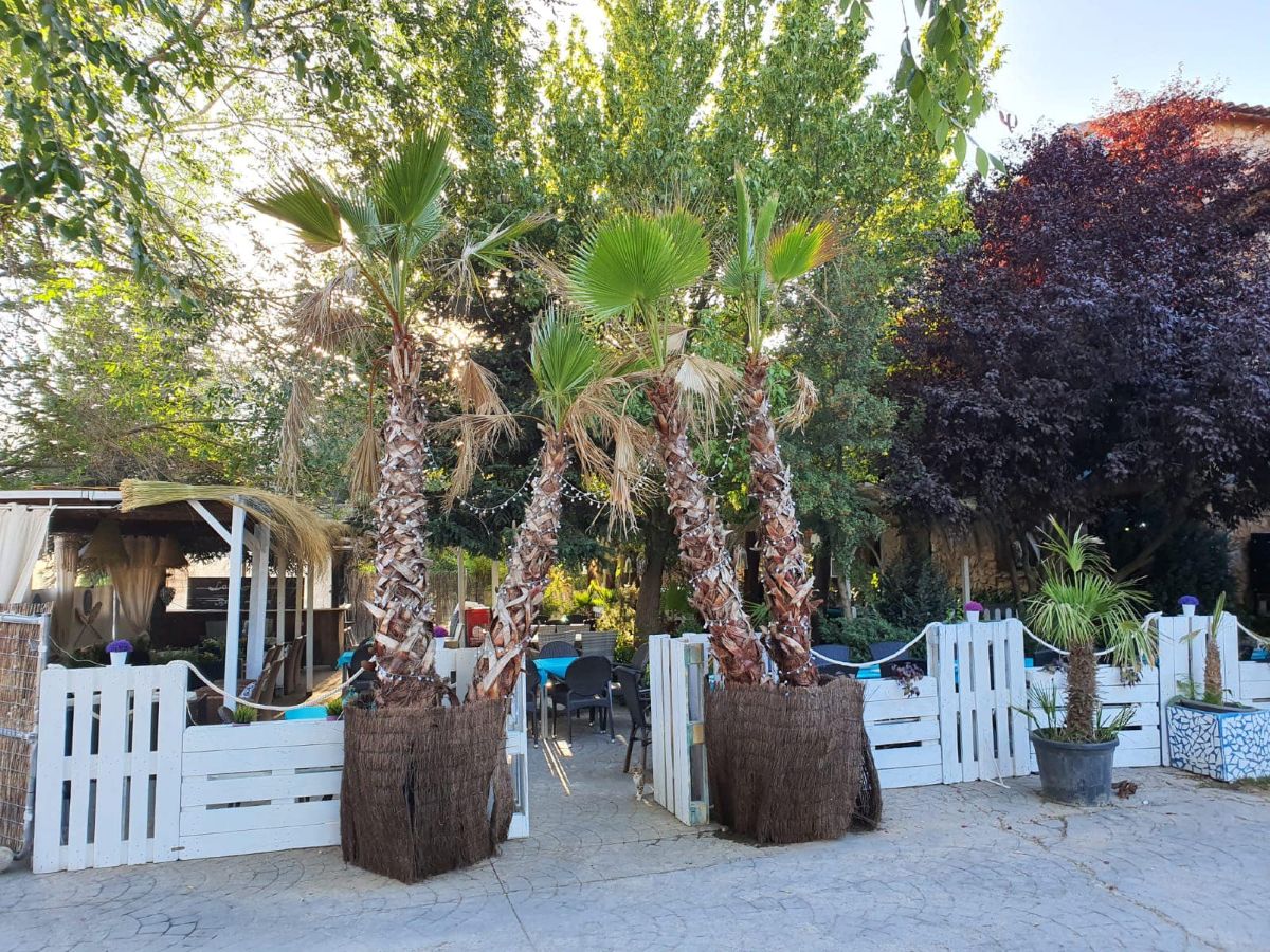 Cinco rincones ideales para comer en verano en Castilla-La Mancha: terrazas junto al río y ambiente de chiringuito