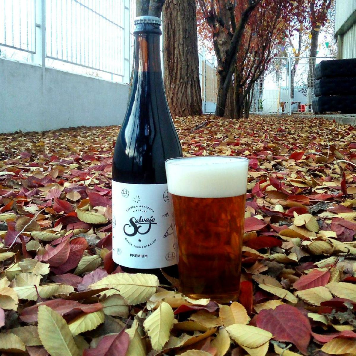 Nos vamos 'de cañas': ocho marcas de cervezas "made in" Castilla-La Mancha
