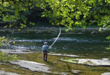 Cómo obtener la licencia de pesca en Castilla-La Mancha en 2025