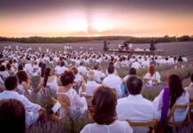 El Festival de la Lavanda se sumerge en los campos violetas de La Alcarria en Brihuega