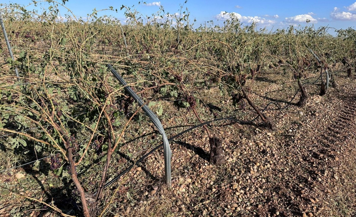 Las tormentas del jueves dejan daños entre el 50 y 100 % en cultivos del sur de Cuenca