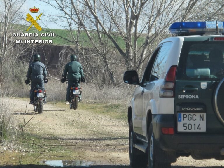 Investigados por cazar ilegalmente en Ciudad Real