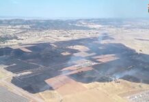 Extinguido el incendio que afectó a la línea de tren Madrid-Andalucía en Brazatortas