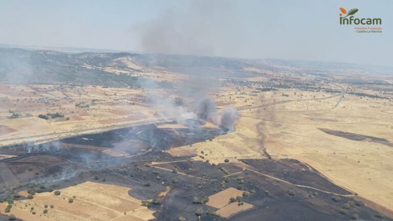 Suspendida la circulación del AVE entre Madrid y Andalucía por un incendio en Ciudad Real