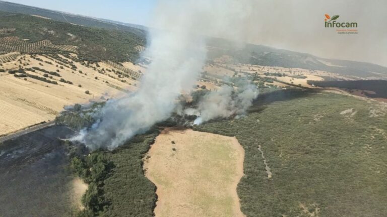 Controlado el incendio declarado este lunes en Piedrabuena