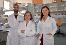 Un estudio de la UCLM concluye que combinar cocaína y alcohol produce un daño cerebral mayor que consumirlo por separado