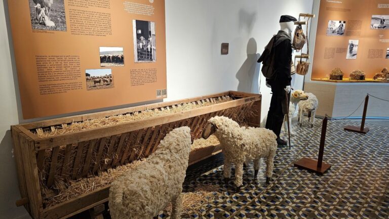 La feria y fiestas de Manzanares, una ocasión para descubrir los museos, la iglesia de la Asunción y el universo