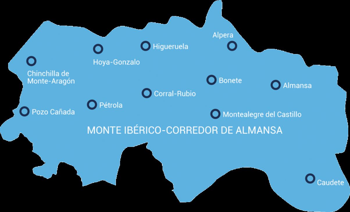 Noches de verano 'estrelladas': 10 zonas de Castilla-La Mancha ideales para ver las estrellas