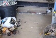 Detenidos los autores que robaron cable de cobre en el Ave en mayo: 25.000 euros entre cable y daños