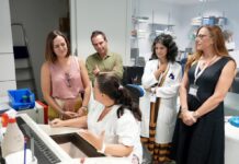 Polímeros de elastina para limitar los daños medulares: así se investiga en el Hospital Nacional de Parapléjicos de Toledo