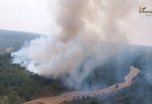 CCAA tendrán que cumplir criterios comunes en los planes de prevención de incendios