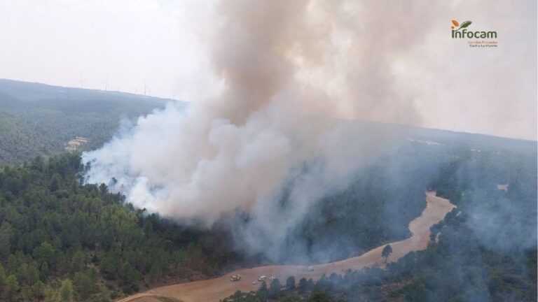 Extinguido el incendio forestal de Enguídanos, en la provincia de Cuenca