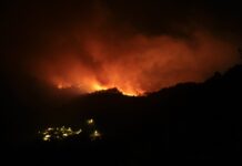 Unas 336.345 hectáreas en España se han quemado en agosto por los incendios forestales