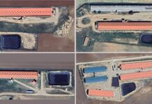 Pueblos Vivos avisa de que la nueva macrogranja de Carboneras de Guadazón elude los trámites de Evaluación Ambiental