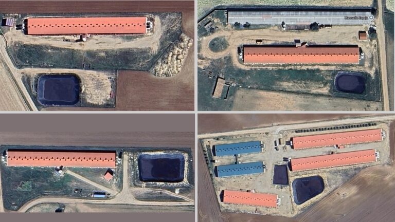 Pueblos Vivos avisa de que la nueva macrogranja de Carboneras de Guadazón elude los trámites de Evaluación Ambiental