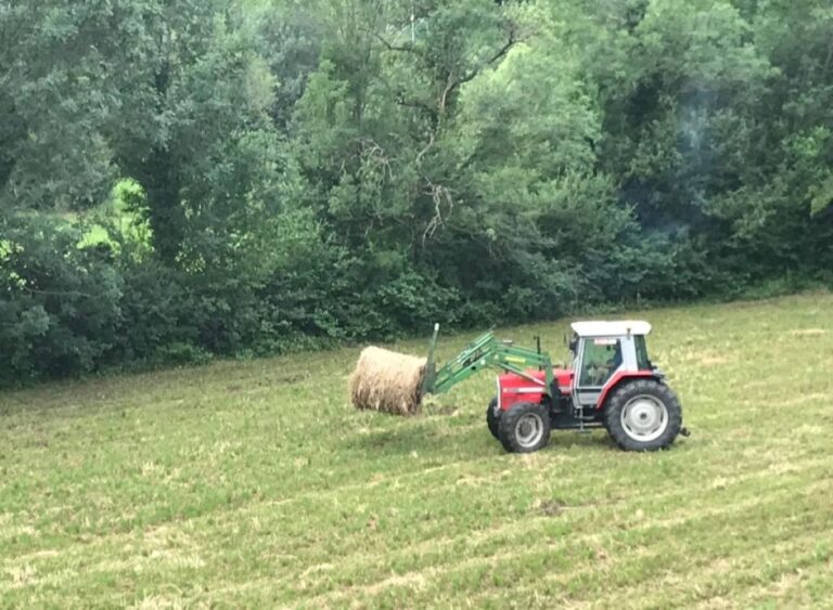 ASAJA C-LM denuncia un trato desigual a agricultores y ganaderos frente a otras comunidades