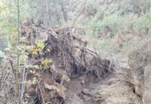 La Junta declara zonas de desastre natural comarcas de Albacete, Cuenca y Guadalajara afectadas por la dana del pasado año