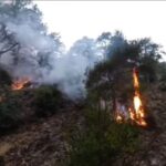 La llamada de un policía de Cuenca fuera de servicio ayuda a atajar un incendio en Los Palancares