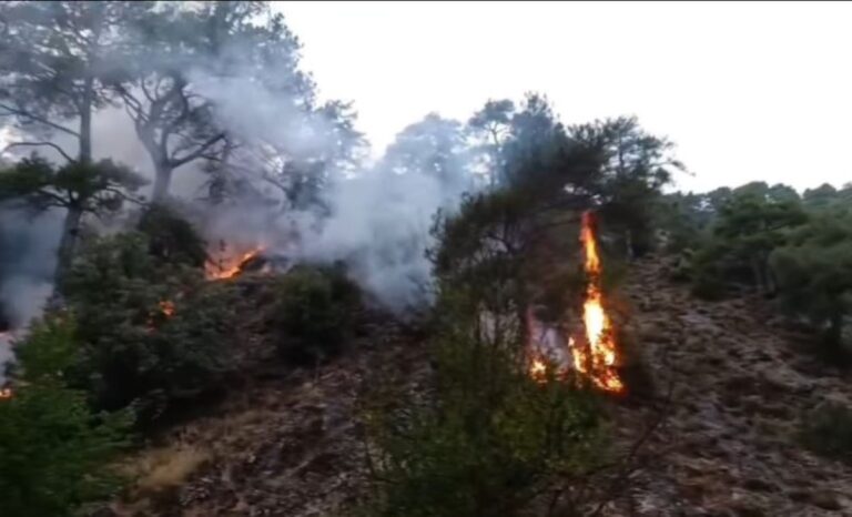 La llamada de un policía de Cuenca fuera de servicio ayuda a atajar un incendio en Los Palancares