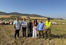 El Gobierno regional ha destinado más de 6 millones de euros en ayudas a la ganadería en lo que va de año