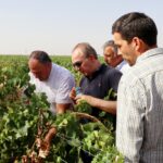 El Gobierno regional y Agroseguro aceleran las peritaciones tras el pedrisco que arrasó los viñedos