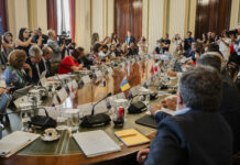 Consejero Agricultura C-LM pide a sus homólogos unir fuerzas en frente común ante UE por el interés del sector primario