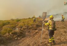 Minuto a minuto | Incendio de Peñalba de la Sierra Incendio Forestal