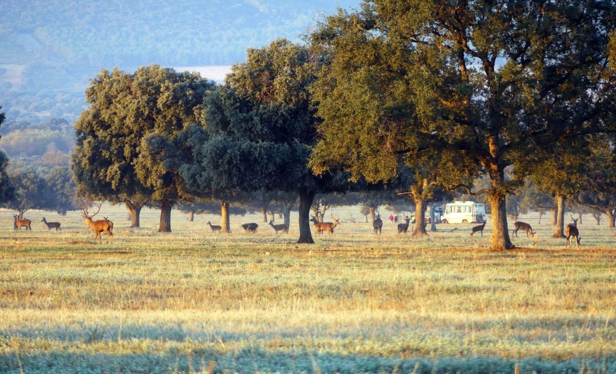 Veintiún caminos, dos chorros y una trilogía