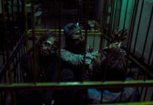 Los zombies «invaden» Toledo en la grabación de la nueva temporada de ‘The Walking Dead’