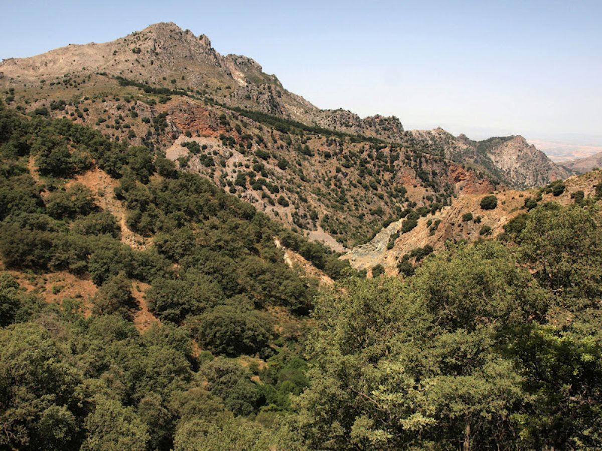 Caminar entre volcanes dormidos en Castilla-La Mancha: los Castillejos de La Bienvenida