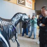 Cuenca acogerá el acto institucional del Día de Castilla-La Mancha