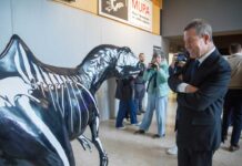 Cuenca acogerá el acto institucional del Día de Castilla-La Mancha