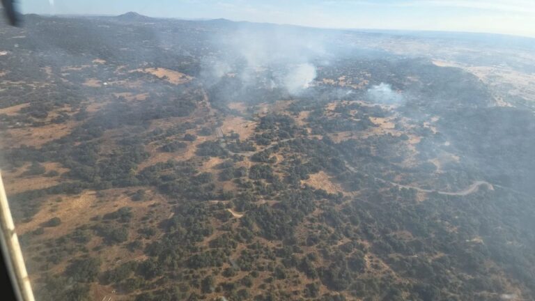 El 17 % de los incendios registrados este año fueron intencionados: 278 en total