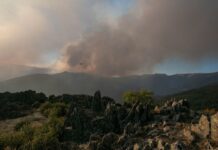 Extinguido el incendio del Pico del Lobo, en Peñalba de la Sierra, tras 22 días de trabajo