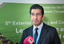 Castilla-La Mancha pide a Europa asegurar la inversión para redes de distribución de energía