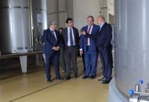 La Junta volverá a defender en Europa un modelo de PAC rentable, justo y sin recortes