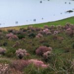 La Laguna Volcánica de Michos, el espejo del fuego dormido en Abenójar