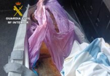 Detenidos en Horche tras apalear a un perro hasta la muerte