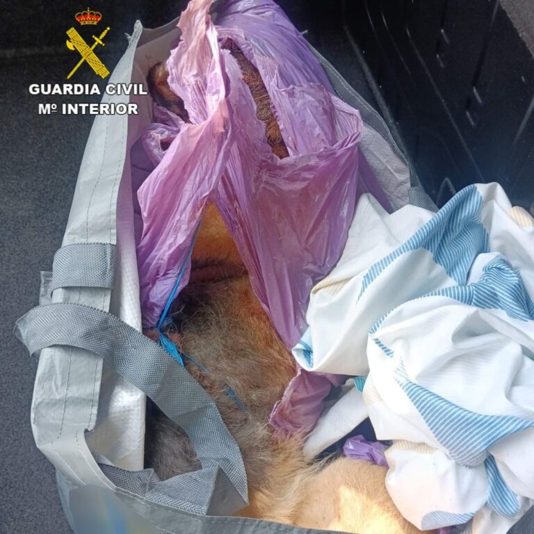 Detenidos en Horche tras apalear a un perro hasta la muerte