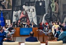 La Diputación de Ciudad Real aprueba pedir a la Junta una moratoria de al menos cinco años en el cobro del canon por pérdidas de agua