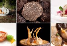 Níscalos, champiñones y setas: las rutas micológicas de ensueño de Castilla-La Mancha